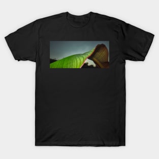 Red Banana Leaf T-Shirt